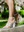 7216 SANDALIA CON HEBILLAS JULIETA