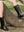 8521 BOTA CONVERTIBLE A BOTÍN NEGRO