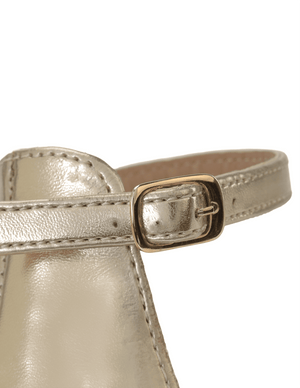 7232 PLATAFORMA ILIANA