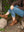 9662 BOTÍN LAURA