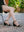 2131 Sandalia Lucía