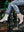 5702 BOTIN ALTO WESTERN